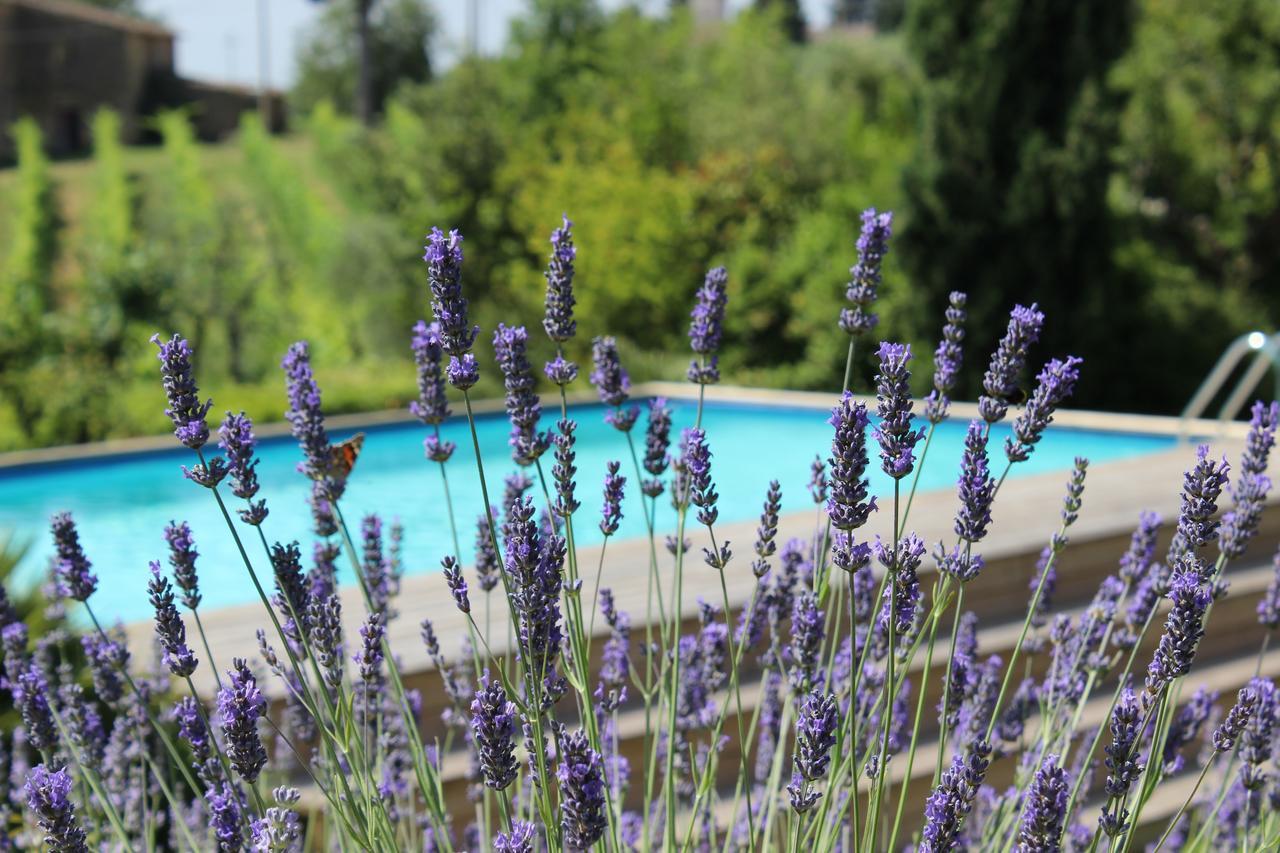 Villa Privata Per Famiglie O Amici Barberino Val d'Elsa ภายนอก รูปภาพ